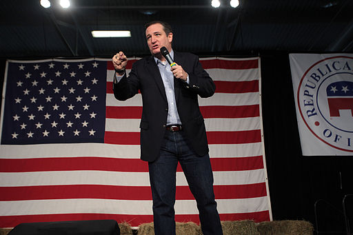 ted cruz 2015