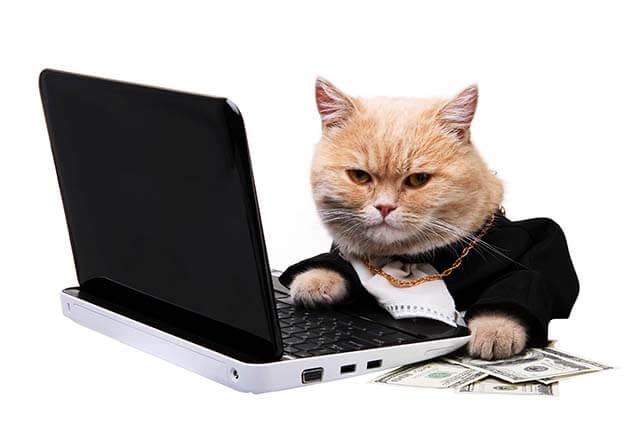 Use a VPN to save money online
