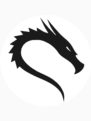 VPN for Kali