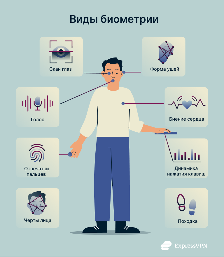 What Is Biometrics Types Of Biometrics 1 1 3