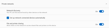 Advanced sharing settings for “Private networks” in Windows, with “Network discovery” and “File and printer sharing” toggled on.