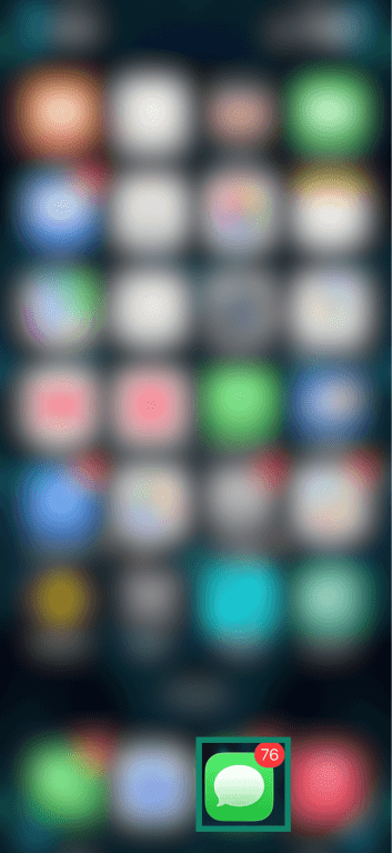 iPhone home screen.